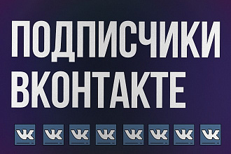 Подписчики Вконтакте