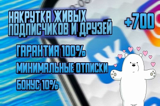 700 качественных подписчиков или друзей ВК без ботов