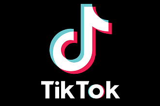 TikTok - 500 подписок