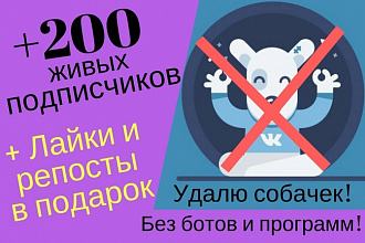 200 реальных подписчиков, 300 лайков + 50 репостов. Вручную