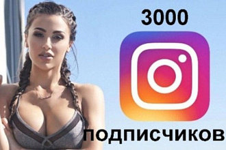 3000 Instagram подписчиков