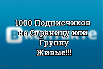 1000 Живых Подписчиков на Страницу или Группу Россия СНГ Качественные