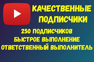 250 подписчиков Ютуб. Быстрое выполнение