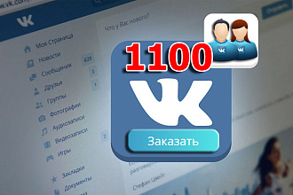 Друзья, подписчики на страницу ВКонтакте 1000 + 100