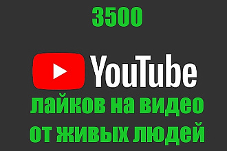 3500 лайков на много видео ютуб от живых людей + подарок