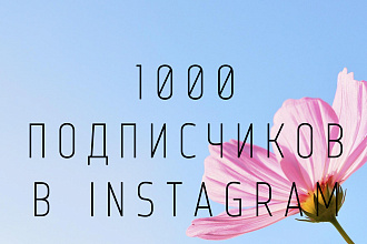 1000 русскоязычных инстаграм подписчиков