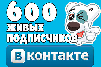 Привлеку на ваш аккаунт в VK 600 живых подписчиков высокого качества