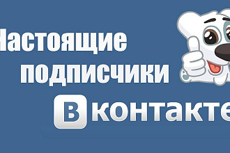 500 Настоящих подписчиков ВКонтакте с гарантией результата