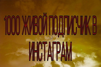 1000 живой подписчик в Инстаграм