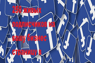250 живых подписчиков на вашу бизнес страницу в Фейсбуке без ботов