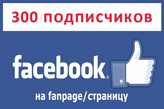 300 подписчиков в паблик на Фэйсбук