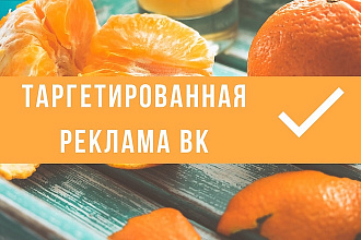 Правильная и точечная настройка продающего таргетинга ВК