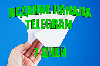 Ведение канала Telegram 7 дней