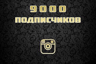 9000 подписчиков на страницу в instagram