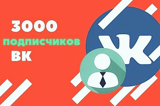 3000 подписчиков