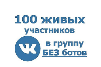 За день 100 живых участников в группу ВК. Люди вручную, без ботов
