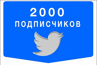 2000 твиттер подписчиков