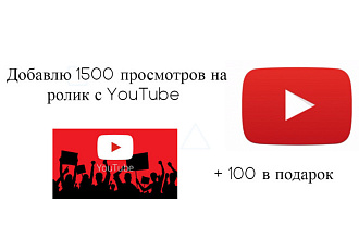 Добавлю 1500 просмотров на ролик с YouTube