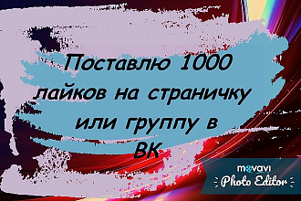 Поставлю 1000 лайков на страничку или же группу в ВК