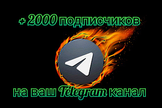 + 2000 подписчиков на ваш Telegram канал