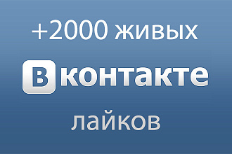 Качественное добавление лайков в ВКонтакте