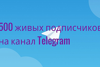 500 живых подписчиков на канал Telegram