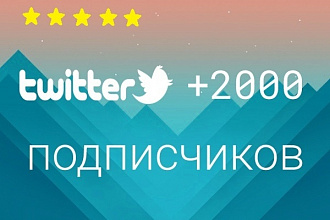 2000 подписчиков на Twitter