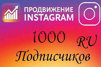 В день 500 подписчиков