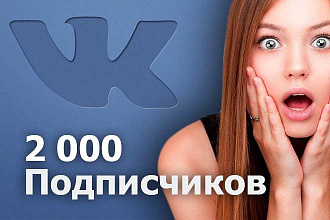 2000 не реальных подписчиков ВКонтакте в группу или на вашу страницу