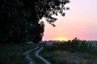 Ставлю лайки в вк 100 бесплатно