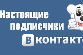 Подписчики в группу Вконтакте. Кол-во на заказ до 1000