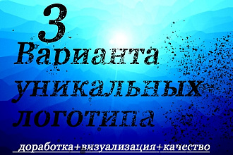 3 варианта логотипа, визуализация в подарок