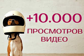 10.000 просмотров видео в Instagram + бонусы