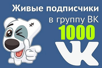 1000 подписчиков в группу ВКонтакте + лайки