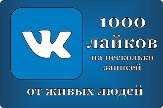 1000 Качественных лайков ВКонтакте от живых людей