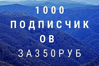 1000 подписчиков за 350 рублей