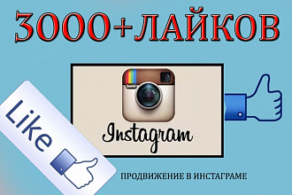 3000+ лайков на фото в Instagram Живые исполнители