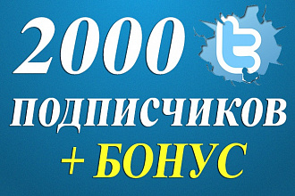 2000 читателей в Twitter