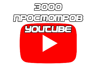 3000 просмотров YouTube