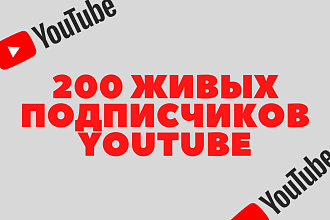 200 живых подписчиков на YouTube-канал