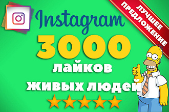 3000 лайков на Ваши посты в Инстаграме + Бонус