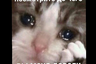 Раскрутка профилей ВКонтакте
