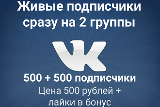 1000 подписчики на 2 группы