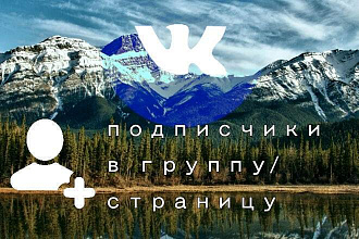 Подписчики в группу-страницу ВК