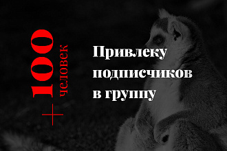 Привлеку +100 подписчиков в любую соцсеть