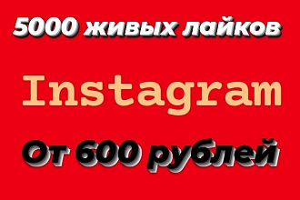 Отправлю для вас 5000 живых лайков в instagram