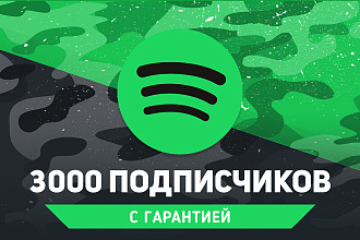 3000 подписчиков Spotify. Гарантия