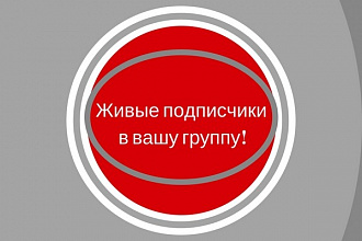 Привлечение подписчиков вам в группу