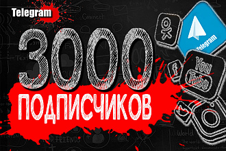 3000 подписчиков Telegram