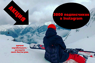 Подписчики в Instagram. 3000 человек